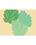 thenatureofthings–patchouliessentialoil-12ml