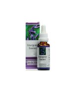 Jan de Vries Emergency Essence