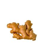 Fresh Organic Ginger Root
