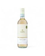 Giol Pinot Grigio Delle Venezie DOC 2023 Organic 750ml
