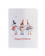 Love Ireland Plantable Seed Card Happy Christmas