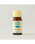 Atlantic Aromatics - Winter Magic Diffuser Blend