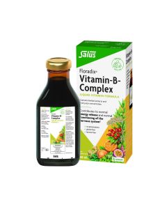 Salus Floradix Vitamin-B-Complex 250ml