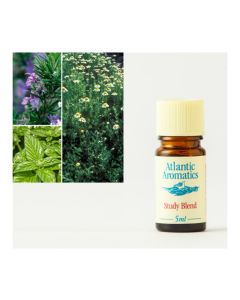 Atlantic Aromatics - Study Blend 5ml