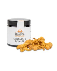 ballyhoura-mountain-mushrooms-cordyceps-powder-30g