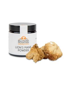 Ballyhoura Mountain Mushrooms Lion's Mane Powder 30g