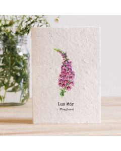 Plantable Seed Card - Lus Mór (Foxglove)