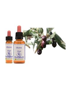 Healing Herbs Bach Olive 10ml