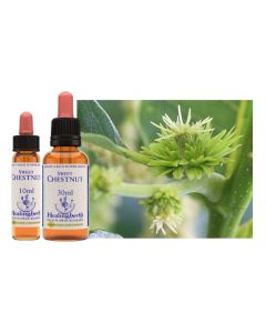 Healing Herbs Bach Sweet Chestnut 10ml