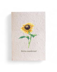 Love Ireland Plantable Seed Card Hello Sunshine!