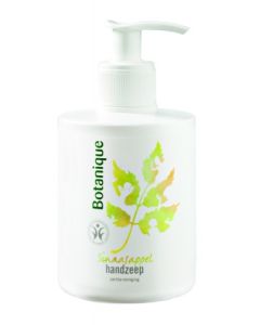 Botanique Orange Hand Soap (300 ml)