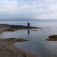 Wild Atlantic Way Seaweed Salad