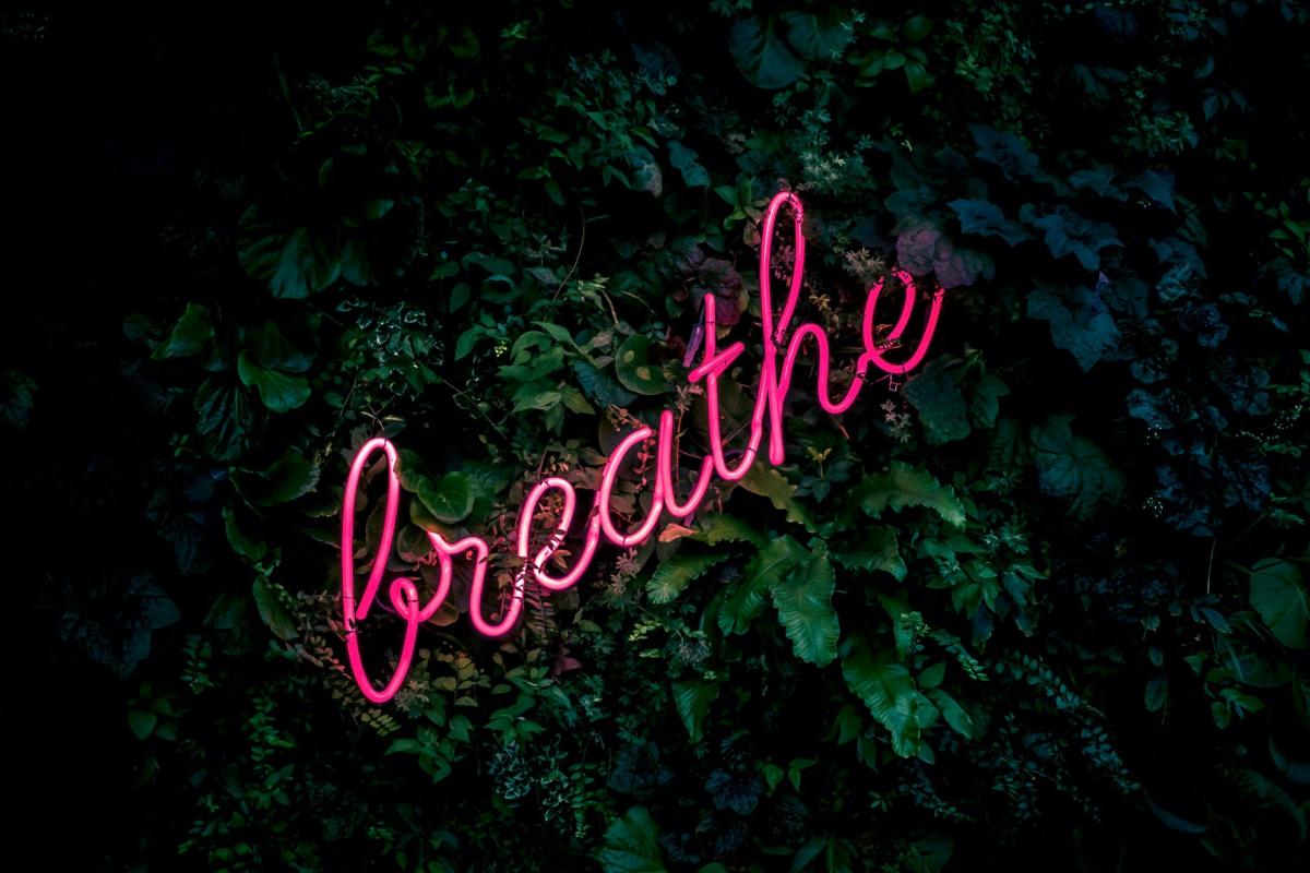 Rediscovering the Art of Breathing: A Path to Better Health