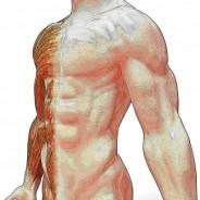 Men's Health Events in Organico: June 2010
