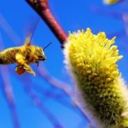 Springing back to life!