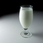 How healthy is milk?? By Hannah Dare