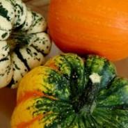 Red lentil, pumpkin and rosemary soup