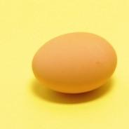Poached Eggs