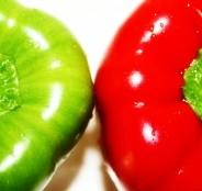 Healthy Digestion; Healthy Body
