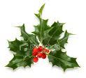 Organico Christmas Opening Times