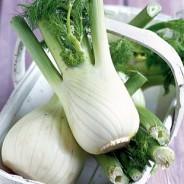 Fresh Fennel Recipes