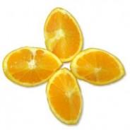 Candida Diet Sheet