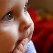 Organico Baby Club Offers