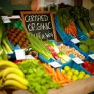 Organico Bantry News and Offers April 2009