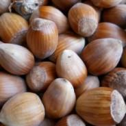 Healthy Nuts - healthy living in Organico, West Cork, Bantry