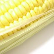 Organico Sweetcorn Chowder – Organico Café Recipes by Rachel Dare