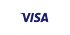 visa card'